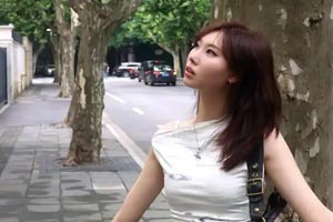 福建旅游公司工商名录