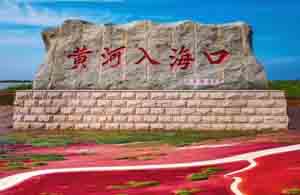 新山东东营市公司黄页